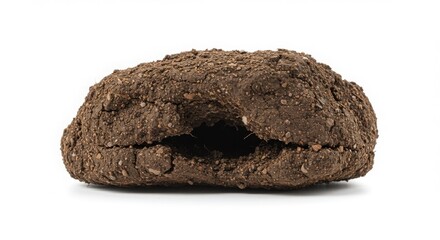 Soil degradation isolated brown dirt clod with hole stock photo for gardening and soil science reference images and backgrounds isolated on a white background