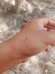 hand with suddenly baby