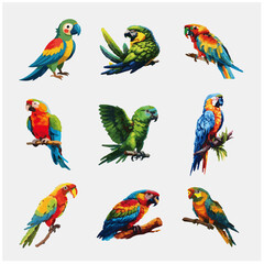 Obraz premium colorfull bird adobe stock 46