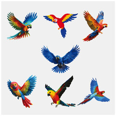 Obraz premium colorfull bird adobe stock 45