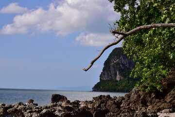 waves crashing on rocks, Rocks and trees on the coast, sea with rocks and sand. Travel photo