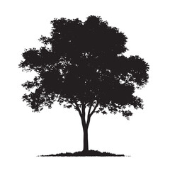Fototapeta premium Isolated Tree Art Black Alder Vector