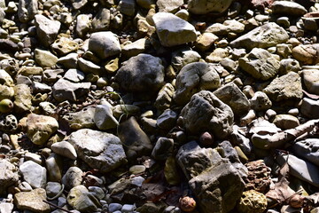 waves crashing on rocks, Rocks and trees on the coast, sea with rocks and sand. Travel photo