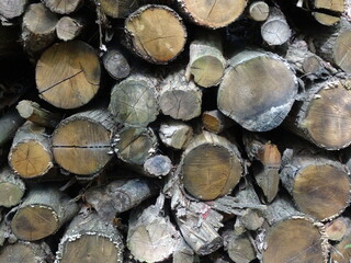 stack of wood