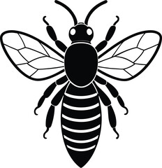 bee vector illustration