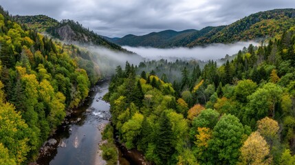 River Valley Autumn Landscape with Fog