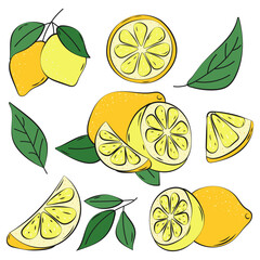 Lemon Set Doosle Hand Drawn. Whole Lemon Fruit with Leave, Lemon Slices and Cut. Tropical fruit slice, fresh green leaves, yellow lemons isolated on white Background. Organic lemonade juice Vitamin C.