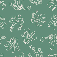 Outline Vector Seaweed Pattern Repeat Seamless for Wallpaper Background Cover Packaging