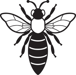 bee vector illustration