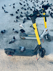 scooter on a background of pigeons, summer urban landscape