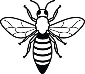 bee on white background