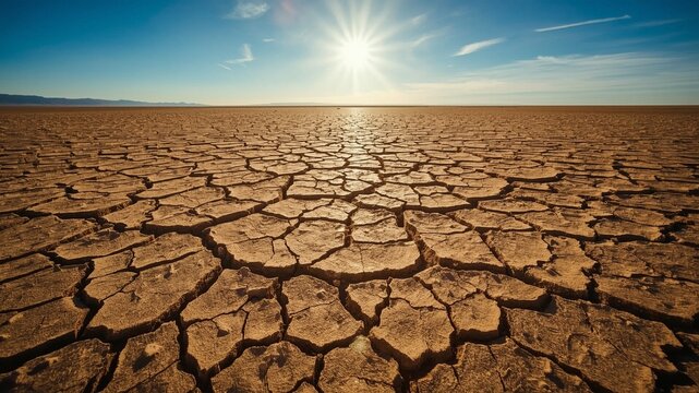 A sweeping, 16:9 aspect ratio landscape of arid desert terrain under the warm, golden glow of intense sunlight, where intricate networks of fine cracks etch the parched, sandy brown soil like a delica