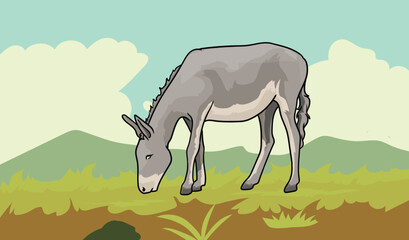 donkey grazing on the green grass