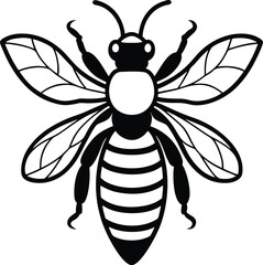 bee vector illustration
