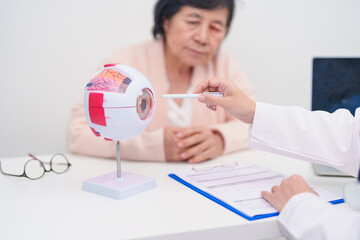 Elderly Patient consulting Doctor to Eye disease, Senior Medical Diagnosis. Anatomy Eye model for Cataract, Glaucoma, Age Related Macular Degeneration, Diabetic Retinopathy, Vitreous, health concept