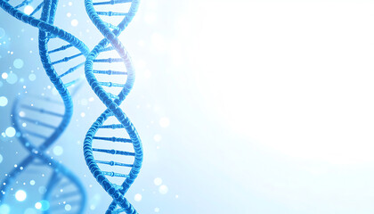 A close-up view of a DNA double helix structure, with a soft blue background featuring light bokeh effects, symbolizing genetics and molecular biology