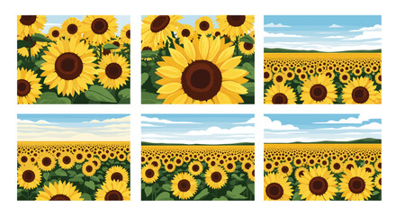 Collection of sunflower fields under a bright sky in various perspectives and arrangements of the flowers