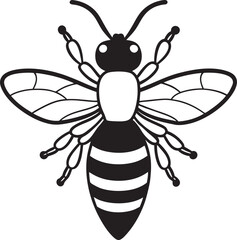 vector illustration of a bee