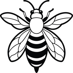bee on white background