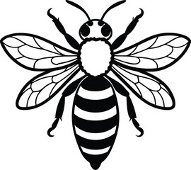 bee on white background