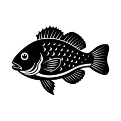 crappie vector silhouette