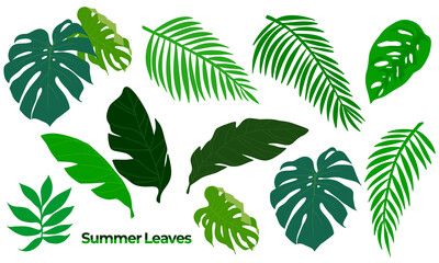 싱그러운 여름 나뭇잎 장식