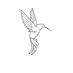 vector illustration of a bird