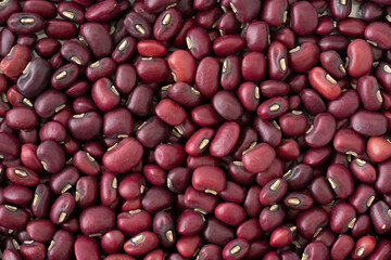 たくさんのささげ