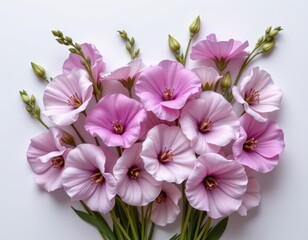 clean arrangement of sweet peas in a minimalist style, with dusty lavender and cloud tones, minimal lines, open space for text, sleek vibe, high resolution