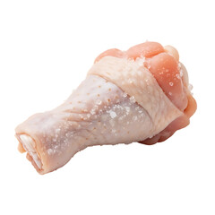 Raw chicken drumstick fresh poultry leg piece uncooked meat ingredient for cooking preparation isolated closeup on transparent background