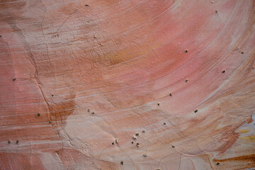 a handmade abstract painting full of movement, texture, and vibrant paint carefully applied to canvas