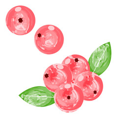 Cranberry simple icon watercolor style