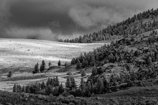 2021-12-31 SNOWY LANDSCAPE SCENE IN YELLOWSTONE NATIONAL PARK WITH A SNOW COVERED VALLEY AND A TREE COVERED HILLSIDE  WITH A DARK STORMY SKY