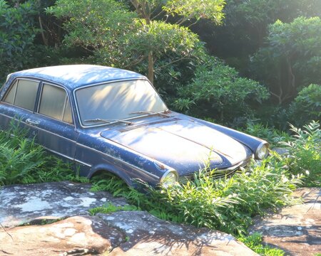 Fototapeta Abandoned vintage car nestled in overgrown rocks and foliage