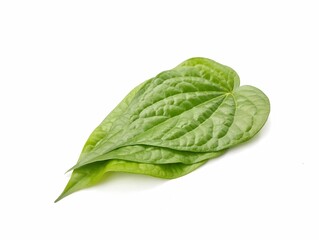 Fresh green betle leaves (Piper betle) isolated on white background. Herb medicine plant 