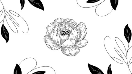 Elegant black and white line art peony flower with leaves; minimalist floral design.