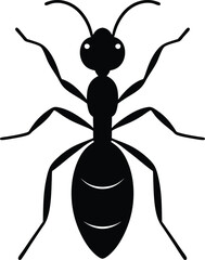 Ant Insect Silhouette