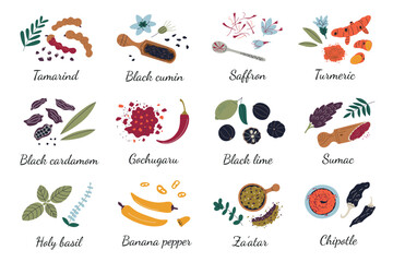 Flat cartoon set of exotic spices and herbs for cooking and seasoning. Culinary ingredients vector illustrations from different cultures, food preparation, kitchen use, traditional cuisine icons