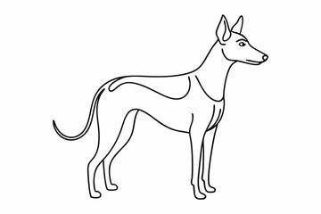 Line drawing of a Pharaoh Hound dog breed profile