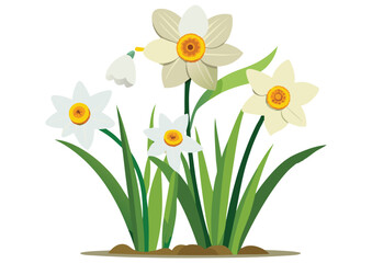 A cluster of blooming daffodils in a sunny spring garden