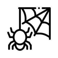 spider web line icon