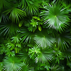 Lush green leaves tropical forest nature photography vibrant environment close-up view botanical beauty