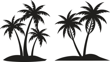 Palm Tree Illustration