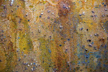 Abstract handmade painting with expressive brushstrokes, vivid colors, and textured surface on canvas background