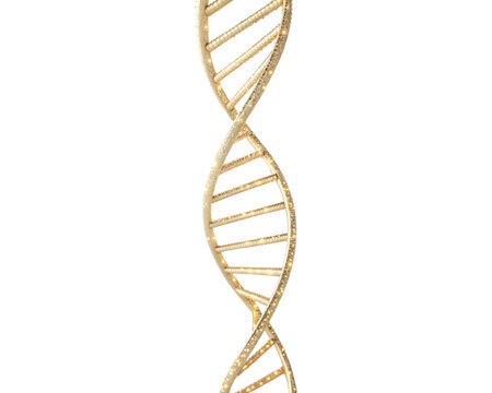 dna strand on white background - Powered by Adobe