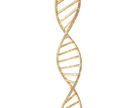 dna strand on white background