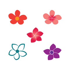 Stylized flower plumeria logo vector symbol