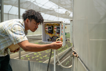 Engineer inspecting power wires in greenhouse, maintaining electrical system in smart farm, Agritech engineer operating greenhouse electricity