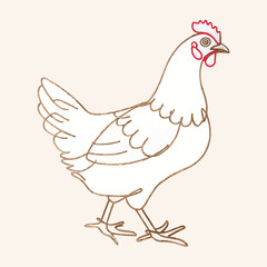 Simple chicken line art illustration.