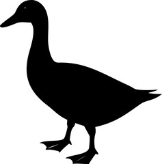 Vector duck in black silhouette style on clean background